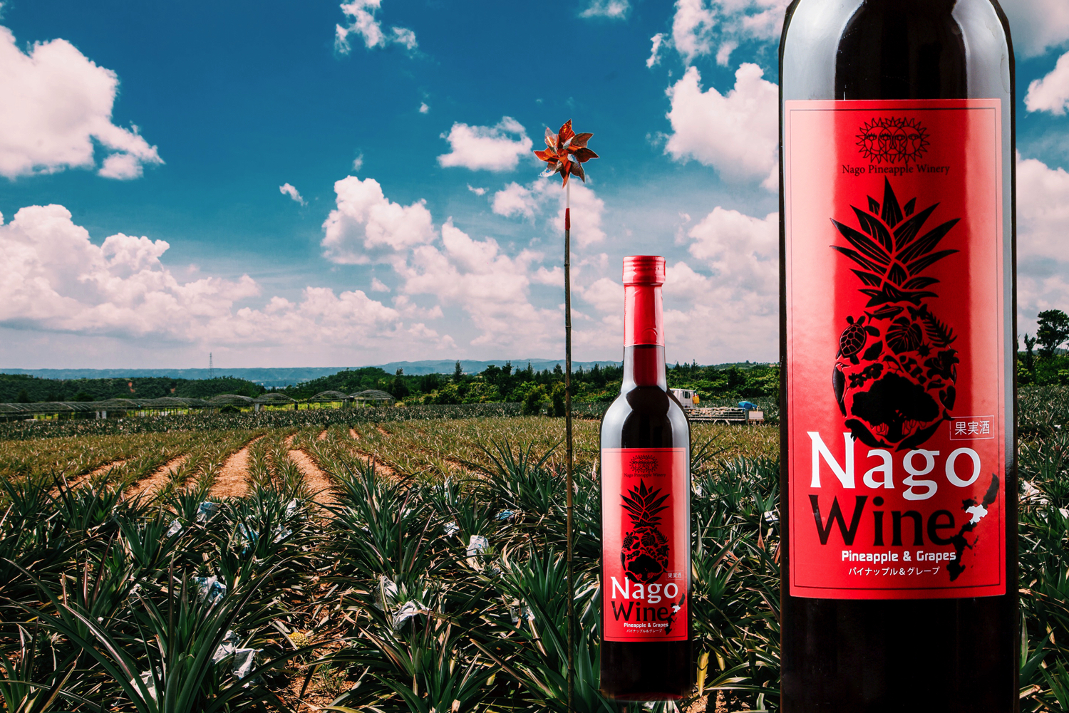 Nago Wine（ナゴワイン）赤
